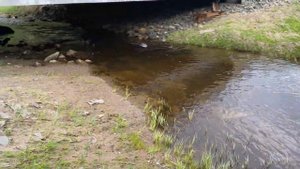 Карелия на байдарке. Часть 1