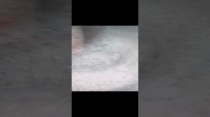 🐚 Раковина в ванной 🧽🫧