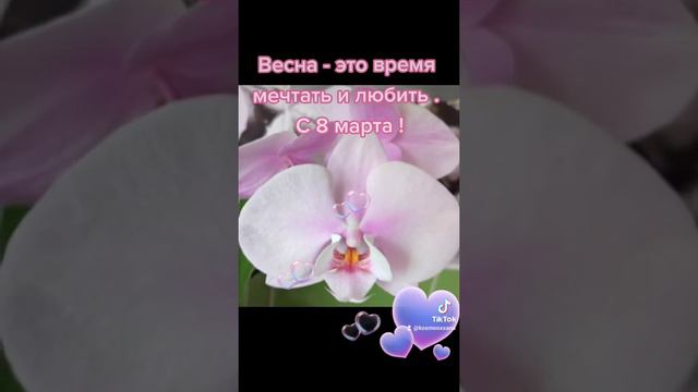 Мои милые и прекрасные девочки, с 8 марта ! Желаю вам мира, добра, любви, изобилия и процветания 🥰 смотреть онлайн