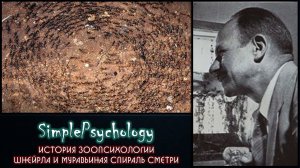 История зоопсихологии. Шнейрла и муравьиная спираль смерти.