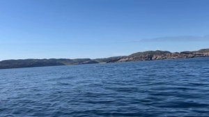 Териберка. Охота на китов