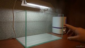 Запуск дешевого морского аквариума на 25 литров  Мысли и Оборудование