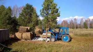 Сбор скирды из рулонов сена. Алабаи после разлуки.