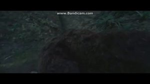 Когда мои друзья со мной.  Юмор.