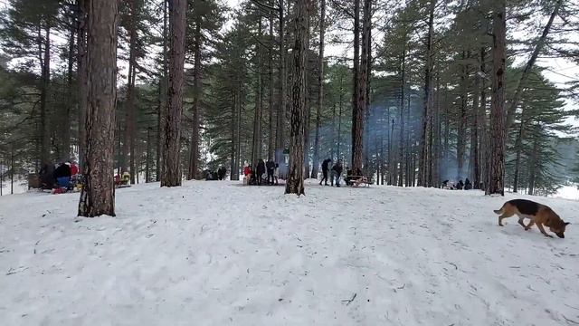 СНЕГ В АЛАНИИ, Орман Парк, Лучший ресторан в Алании, жизнь в Турции, Лучшая баранина в Алании Алань