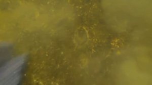 ГОРЬКАЯ ПРАВДА О КАХОВСКОМ ВОДОХРАНИЛИЩЕ Новая Каховка 8 08 2018