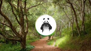 Башир Чимилов - Я вернусь