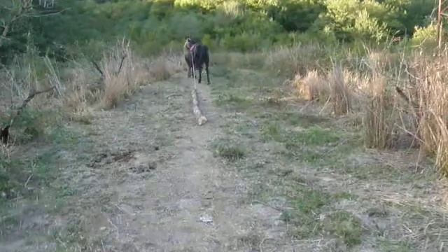 Буян строит навес смотреть онлайн