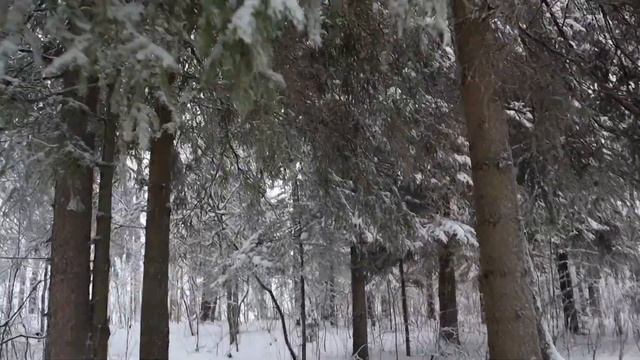 Зима в Карелии 2021 смотреть онлайн