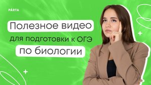 Строение и функции органов дыхательной системы  | отрывок из занятия МГ с Аминой