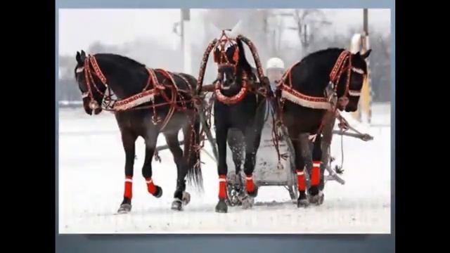 Русские народные ударные инструменты