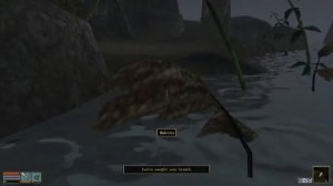 Morrowind Mail - 14th November 2012 - The Calm Before The Storm