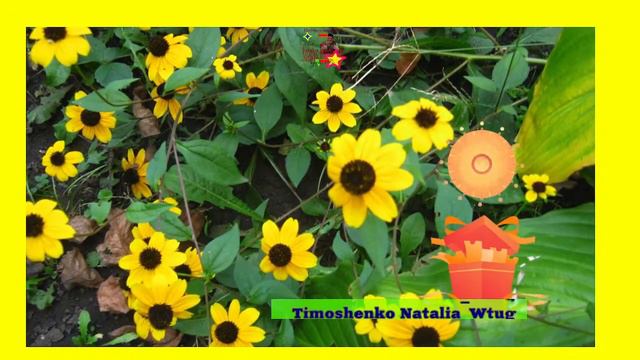 #music just for you!  27|02|2024 #Проведёмчасысчастьявместе |112|#музыка именно для тебя!