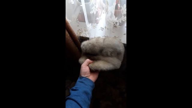 6.11 Шапка из голубой норки смотреть онлайн