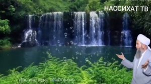 Эшони Нуриддинчон то охирша гуш кунед 👍