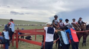 НААДЫМ 2023, Тыва, конные скачки 14.08.23 иноходцы