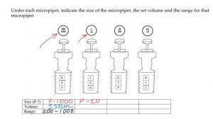 Micropipette reading and setting  quiz