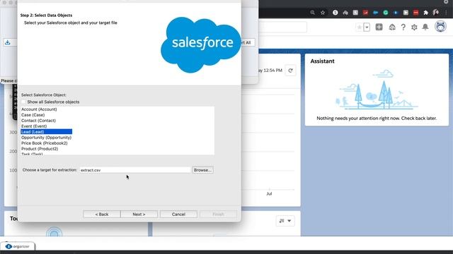 How to Export Data using the Data Loader from Salesforce | MAC tutorial {2021