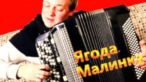 ХАБИБ - Ягода малинка на Баяне + Импровизация / Accordion cover