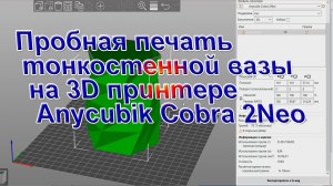 Пробная печать тонкостенной вазы на Anycubik Cobra