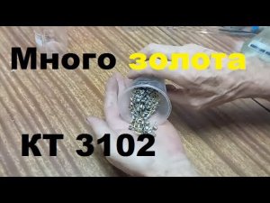 Аффинаж транзисторов КТ 3102 много золота.