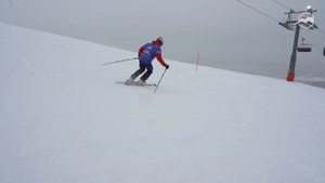 Горные лыжи Salomon S/Force Fx.80 2021-2022. Обзор
