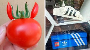 Фото подписчиков Фактории (143 часть)