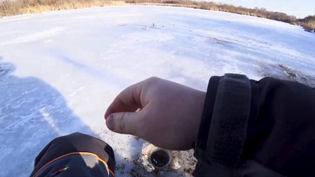САМ ИЗ ЛУНКИ ВЫПРЫГИВАЕТ! ОПАСНЫЙ ПЕРВЫЙ ЛЕД 2021 2022 в Новосибирске (рыбалка на ротана)