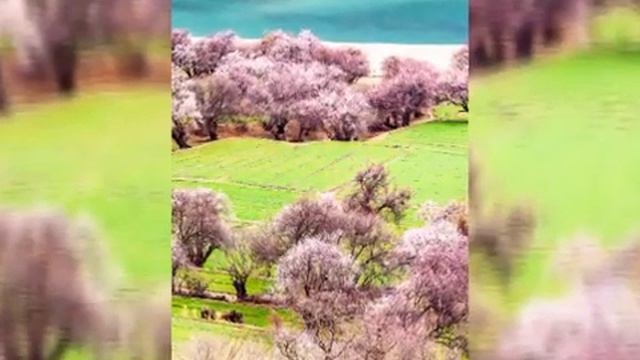 Солнышко просыпается