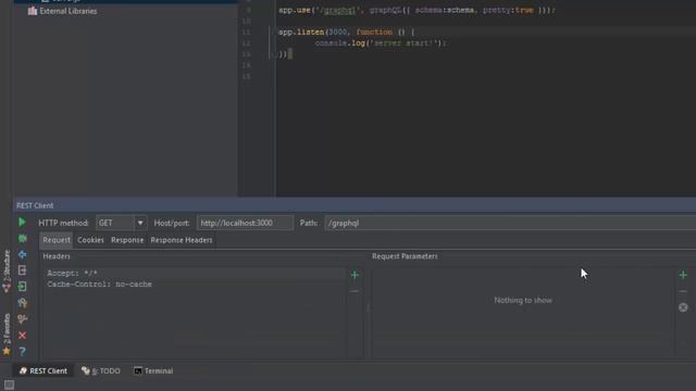 Изучаем GraphQL -  Начало, гибкая система, getting started graphql