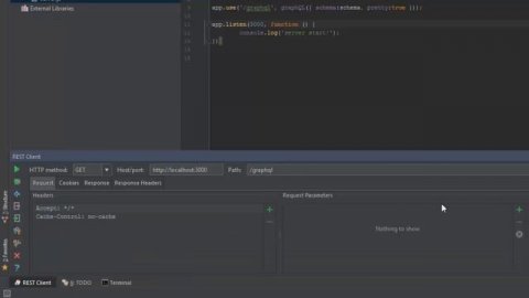 Изучаем GraphQL - Начало, гибкая система, getting started graphql