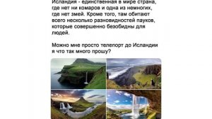 ИНСТРУКЦИЯ: Когда вас кто то бесит, то рисуем на руке комара и  потом...