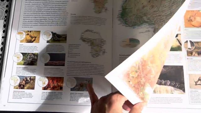 Иллюстрированные атласы ‘Животный мир’ и ‘Океаны’ издательство ‘Махаон’ смотреть онлайн