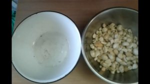 Как сохранить чеснок. Сушка и хранение чеснока.