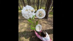 DIY dandelions promo // Ростовые натуралистичные одуванчики