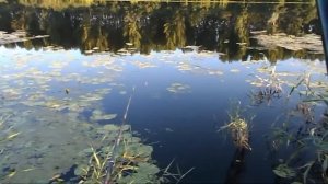 Рыбалка в апреле на  Крынки  в Харцызске