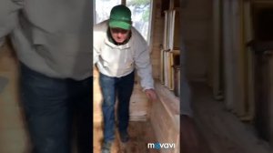 польза апидомика