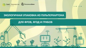 Экологичная упаковка из пульпекартона для ФРОВ, ягод и грибов