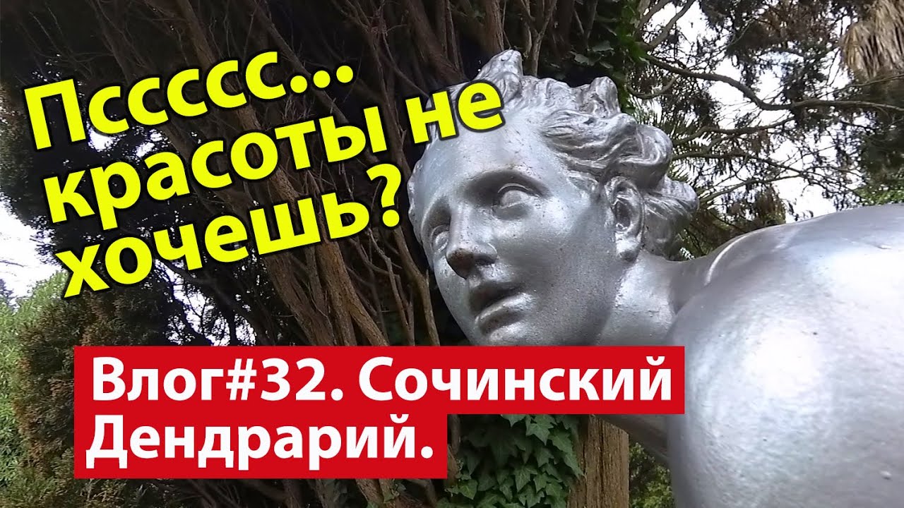 Влог #32. Сочи. Смотровая площадка на город в Дендрарии с высоты 160 метров