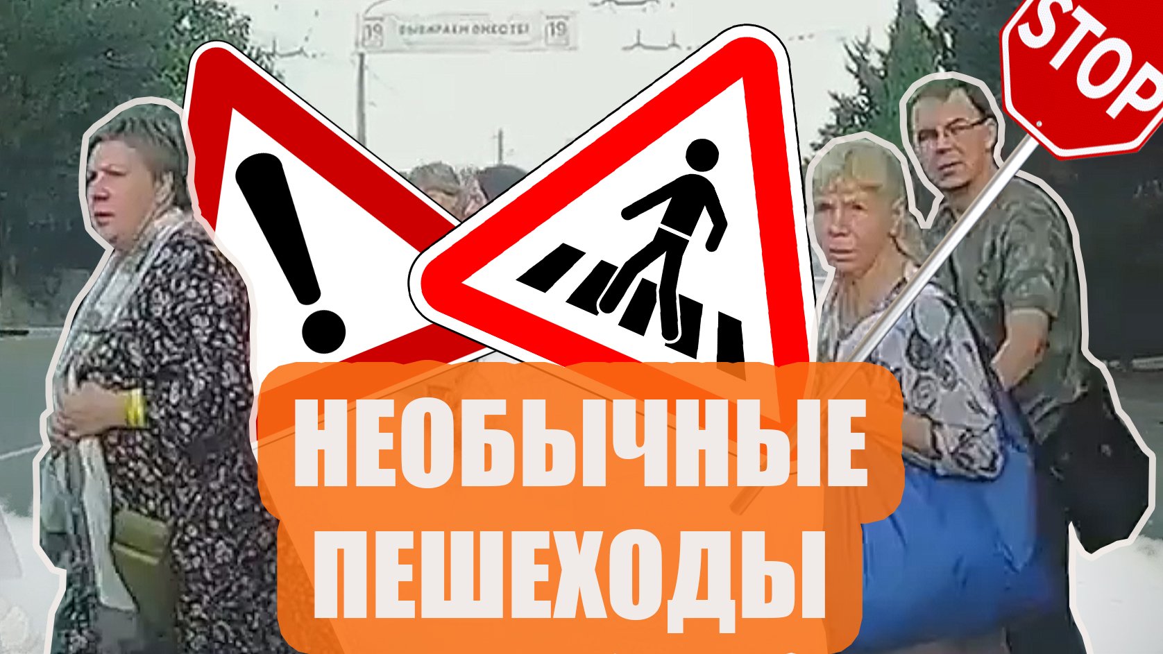 Самые необычные пешеходы