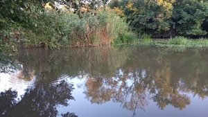 Река Кундрючья. Ловля голавля на микра колебло.2022 Август.