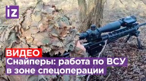 Снайперы группы «Юг» показали боевую работу в зоне СВО: националистам не скрыться / Известия