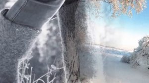 Клён ты мой опавший Песня на стихи Сергея Есенина