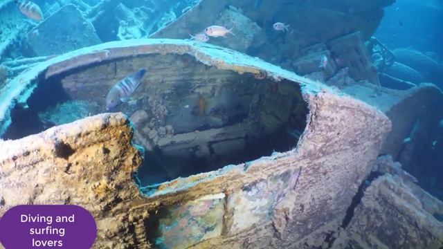 Diving sites in South Sinai Egypt смотреть онлайн