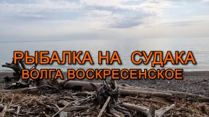 Рыбалка на судака коттеджный поселок Воскресенское