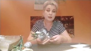 посылка из интернет магазина Procvetok# розы#