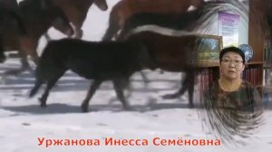 Видеоконцерт "УЕТЭН НУХЭДЭЙ АМАРШАЛГАА"