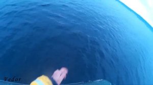 Ловля судака на Волге на балансир. Рыбалка на осеннего судака отвесным блеснением, видео.