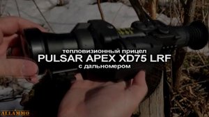 Dedal 490 (3 пок.) и Pulsar Apex 75 LRF | Магазин ALLAMMO.RU