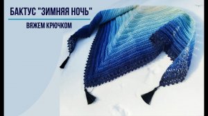 Бактус крючком “Зимняя ночь”